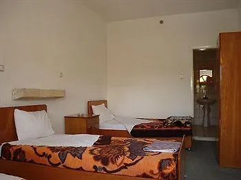Akar 2*