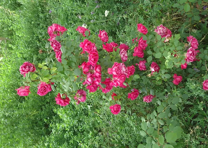 Akar 酒店 厄赫拉热